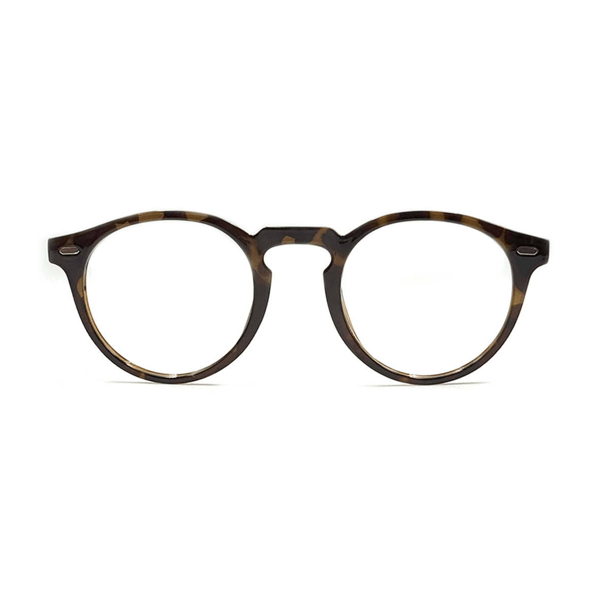 ARMAÇÃO VÊNUS Óculos de Grau Zeno